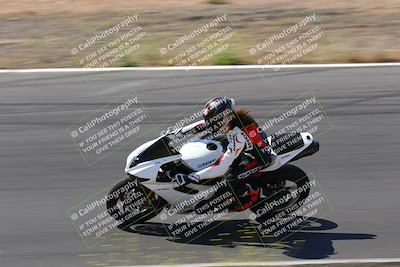 media/May-09-2022-Moto Forza (Mon) [[0226cf3505]]/Group C/C 940am/